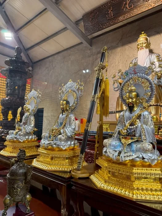 650072667 35175155295408875 4815918150705189093 N